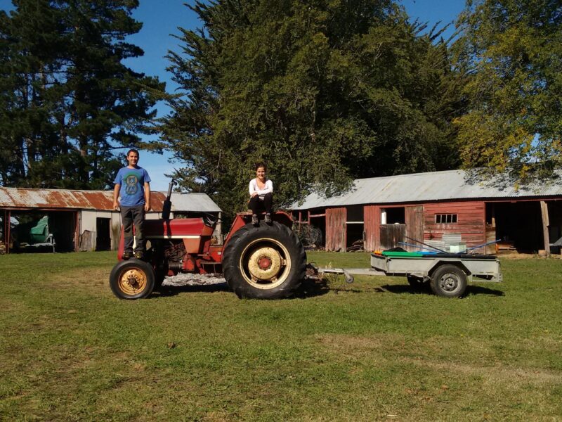 Woofing in Nueva Zelanda - granja y tractor