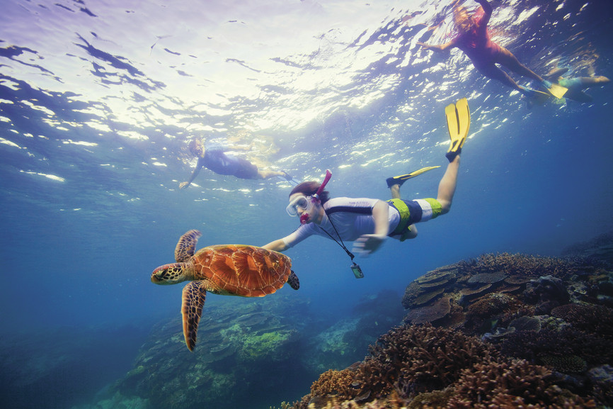 Snorkeling great barrier reef australia