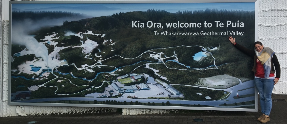 Te Puia Te Whakarewarewa Geothermal Valley Rotorua